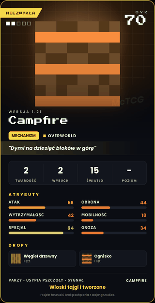 Campfire