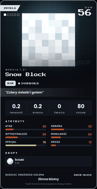 Snow Block